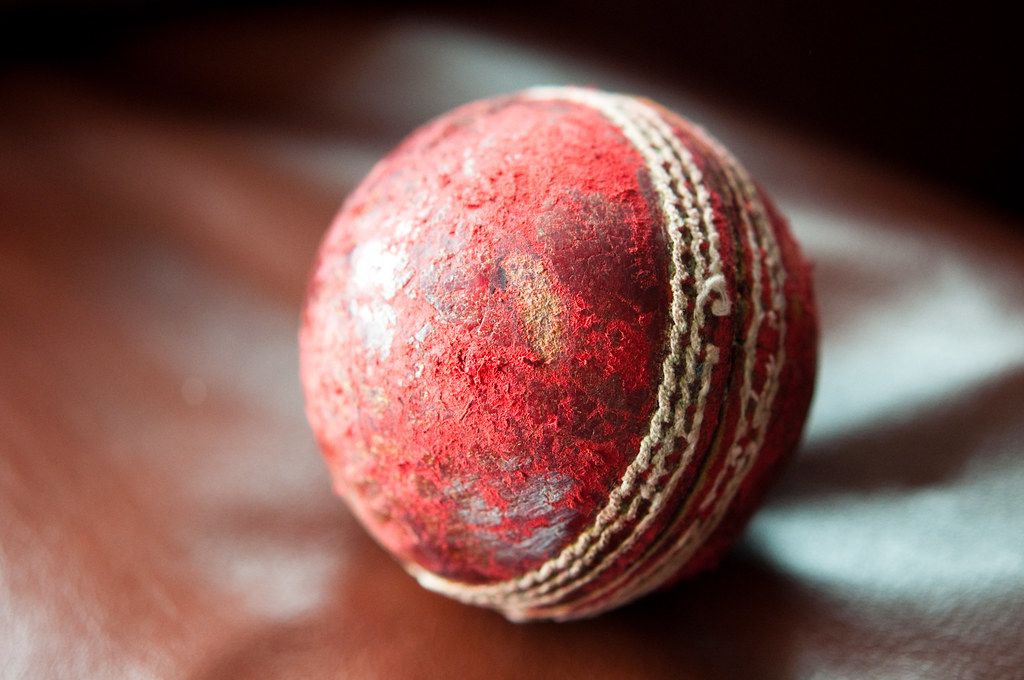 Cricket batting nets